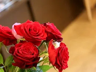 ★ 8年10月29日 ★
