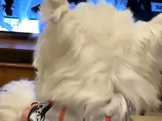 ホークス日本一