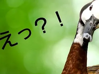 いつもぎゅっと奥歯を噛んでるあなたへ 無…