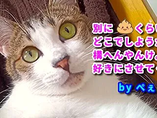 押し入れ片づけたら渋沢栄一さんｓが出てき…