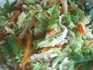 冷凍保存できるキャベツの常備菜