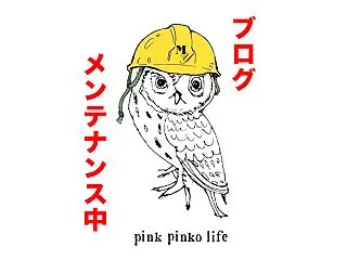 ブログ再開します！