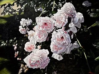 最新作のご紹介 「庭園の薔薇 １」