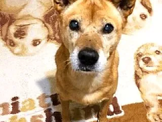 ノー残業デー素敵すぎ♪