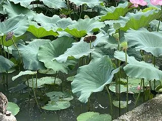 「医者」と「弁護士」