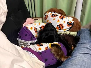 本日は閉店しました。