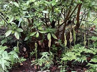 ひねもす俳句：うつろふ季節