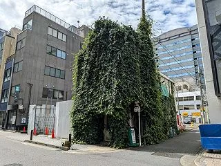 ラフレッサ 植物に覆われた喫茶店
