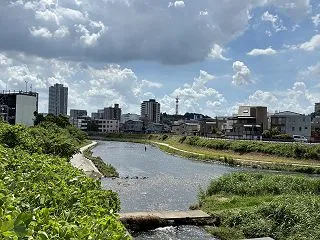 第2弾：大丈夫かなぁ？鯉がウジャウジャ。…