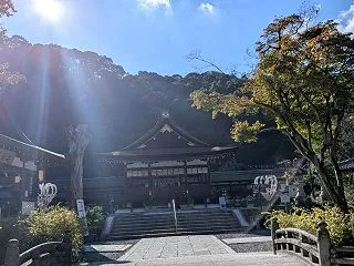 普段の私紹介（人以外にもよく話かける。笑…