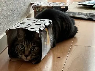 ペットを飼うということ