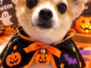 10月29日 入院生活 リハビリ