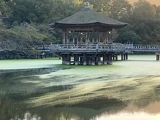 令和8.10.28. 浮見堂・鶏活・市民…