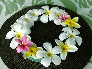 ハワイ島フォト日記 懐かしいのを見っけ❣…