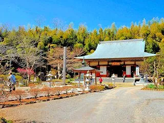 スミレの寺