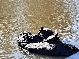 金石銭五公園