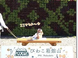 今回も大満足の箱館山でした♪ ～秋の訪れ…
