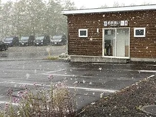 雪･･･降りましたね
