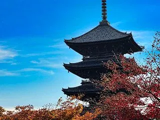 【保存版】京都紅葉案内～東寺「京都の秋は…