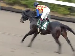 【ブリーダーズカップスプリント2026予…