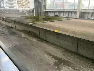 生きる知恵とユーモアに触れた時間