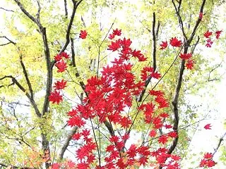 261030