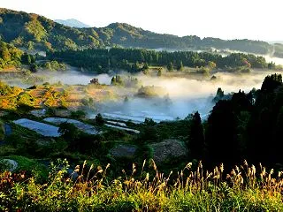 星峠の棚田