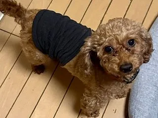 【Nanalaちゃん】ご無沙汰です(⌒-…