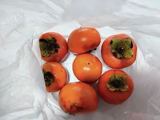 秋の味覚