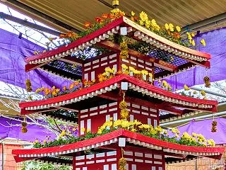 【川越市】小江戸川越菊まつり【2026年…