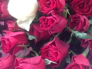 あと何回。