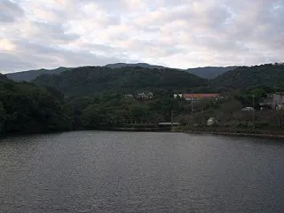 朝からカモの人(戸川ダム公園・2026.…