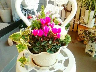 クリスマスオーナメントと秋の寄せ植え