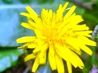 今日の一言 ～自分を信じて～