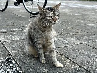 本日のベストスリー１０月２９日