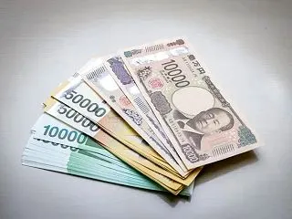 配当金の入金がありました。ファーマフーズ…