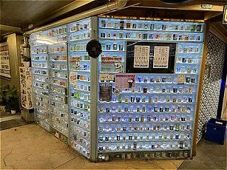 頭のよくなる電気気功の巻。