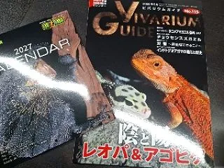 入荷