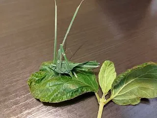 もう10月が終わろうとしてるなんて…