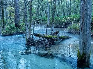 青い水