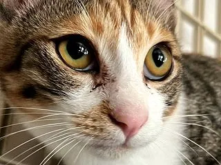 がんばれよ！と送り出した…