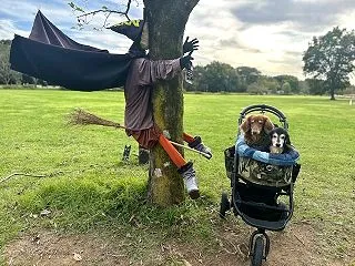 恒例の 年１公園へ～ ハロウィンを楽しん…
