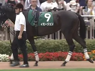 天皇賞秋2026予想