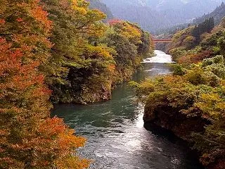 紅葉が進む旧藤橋村元藤橋