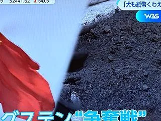 WBSから