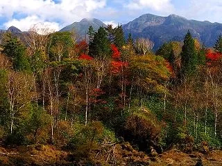 秋の乗鞍高原五色ヶ原と小谷村きのこ狩りの…