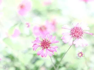 これからのこと