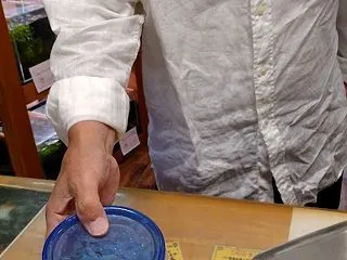 【Kei】さんのレッドビーシュリンプをヤ…