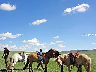 モンゴルの大草原で 馬に乗って５日間 テ…