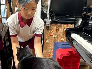 椅子を乗っ取られたら・・？